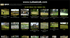 Desktop Screenshot of lukasicek.com